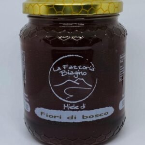 Miele millefiori di bosco